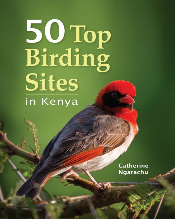 50-Top-Birding-Sites-in-Kenya
