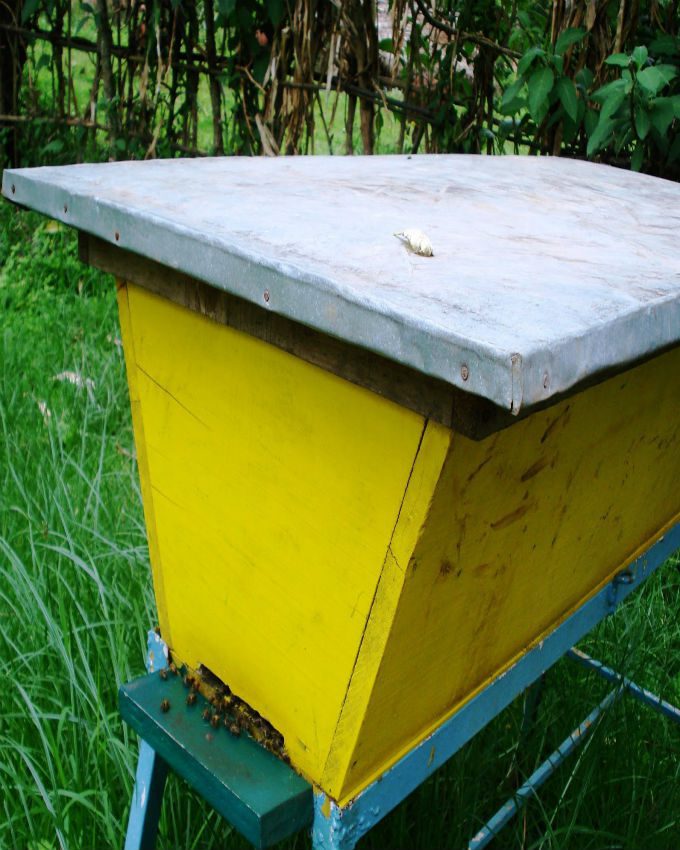 Kenyan-Top-Bar-Hive