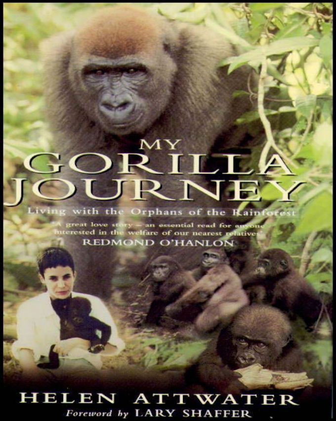 My-Gorilla-Journey