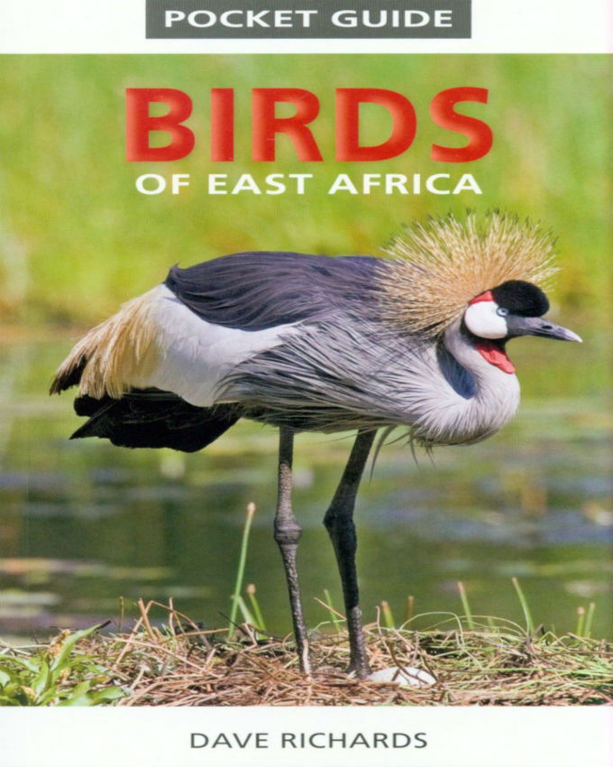 Pocket-Guide-Birds-of-East-Africa