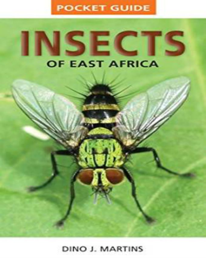 Pocket-Guide-Insects-of-East-Africa
