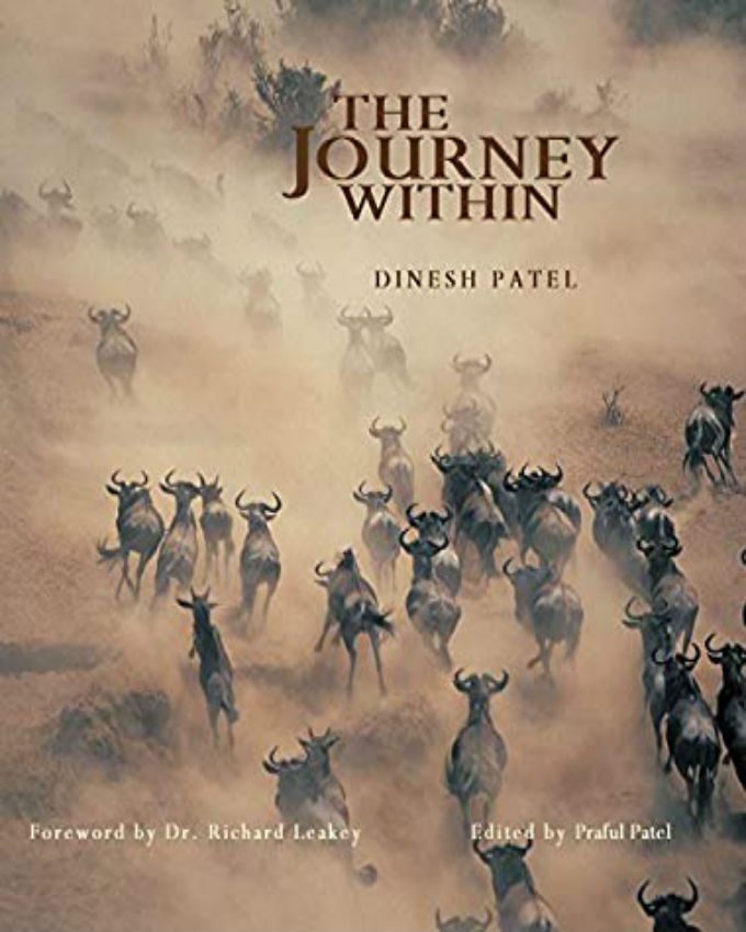journey within book pdf