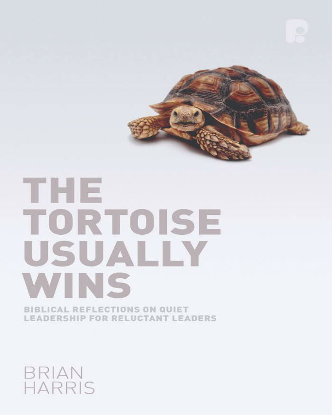 The-Tortoise-Usually-Wins