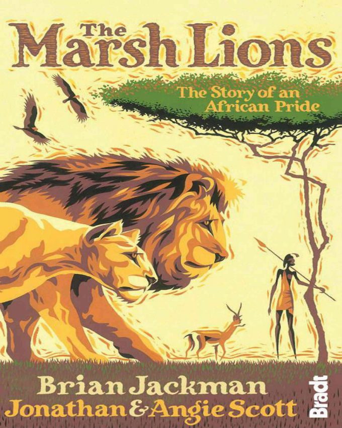 The-marsh-lions