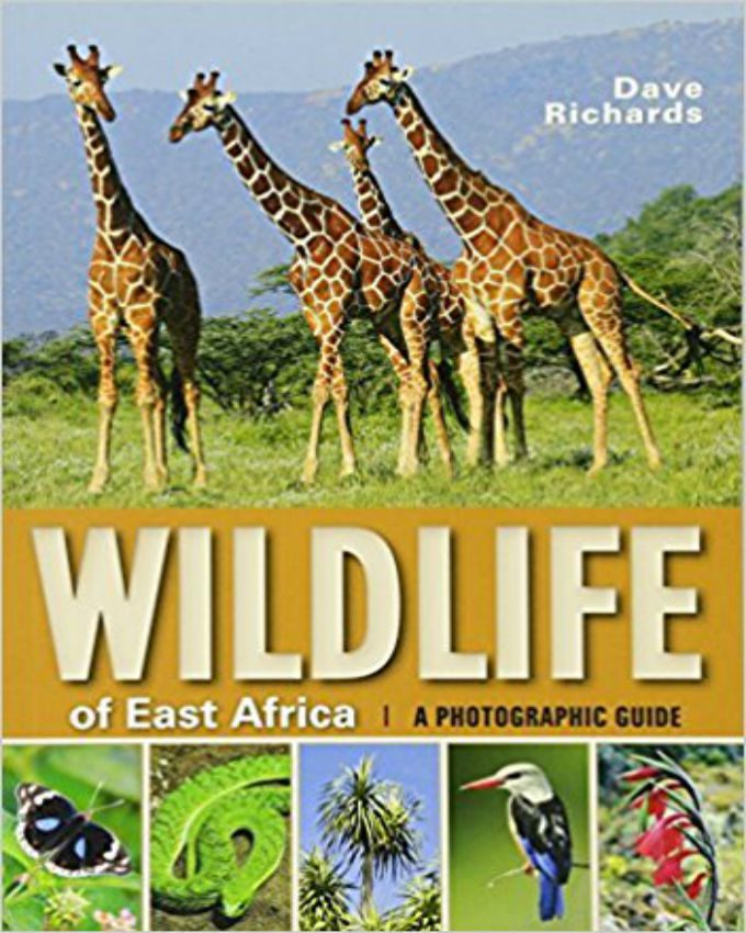 Wildlife-of-East-Africa-A-photographic-guide
