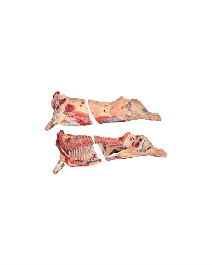 beef-carcass