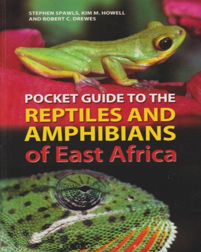 Reptiles and Amphibians of East Africa nuriakenya (1)