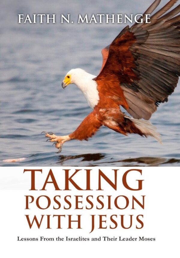 Taking-Possession-Front-Cover2-600x861