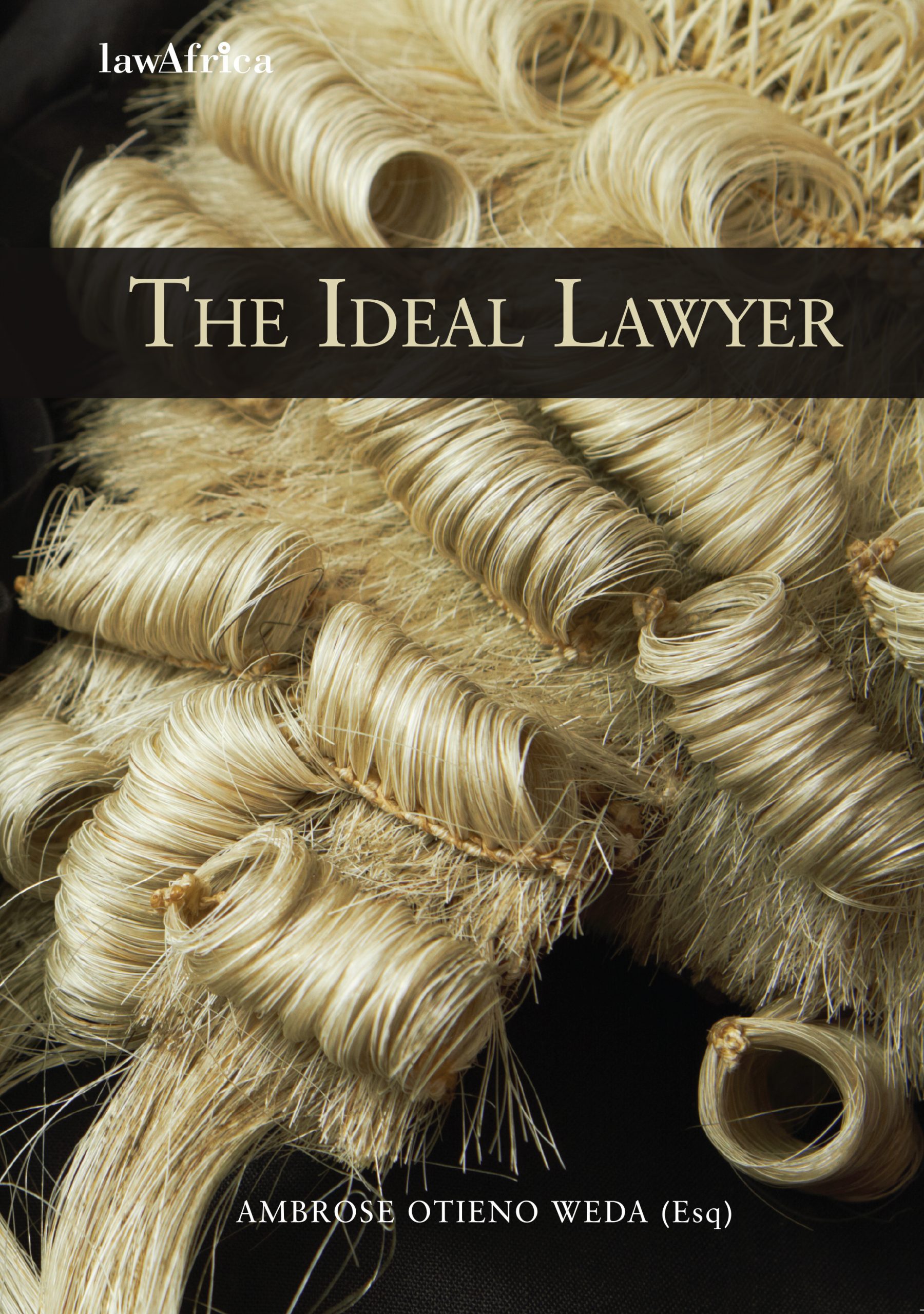 The Ideal Lawyer - Cover