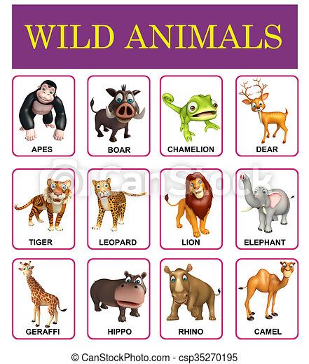 Chart - Wild Animals - Nuria Store