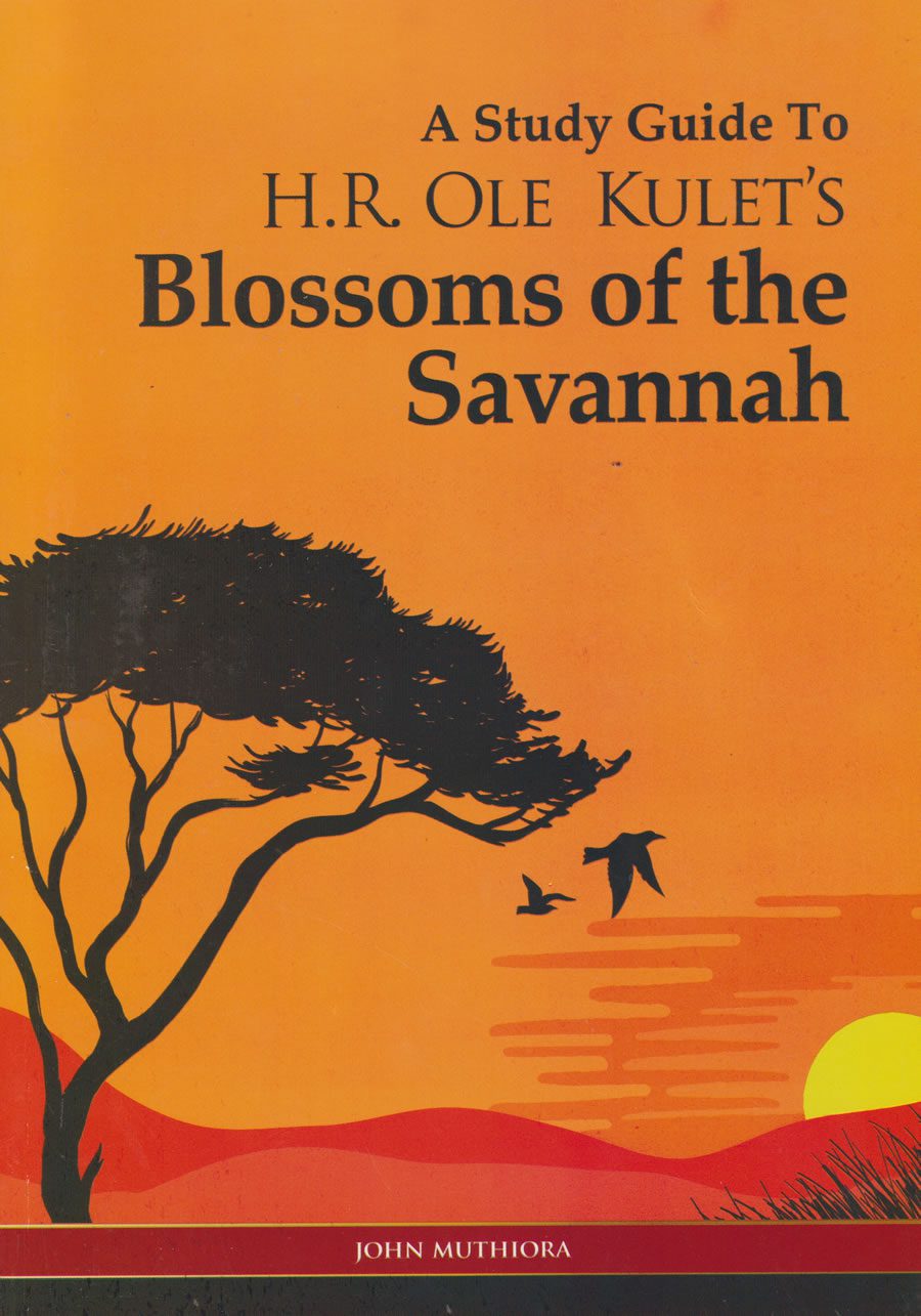 blossoms of the savannah sample essay questions
