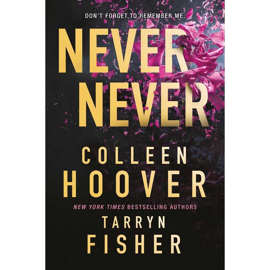 never never colleen hoover