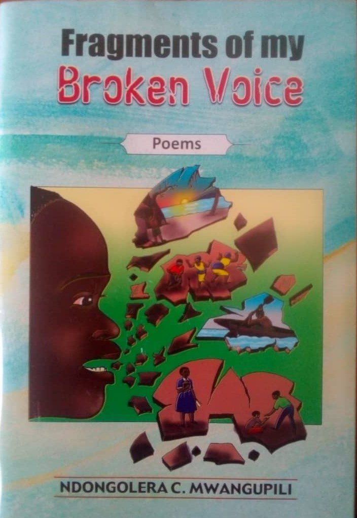 Fragments of my Broken Voice book (2)