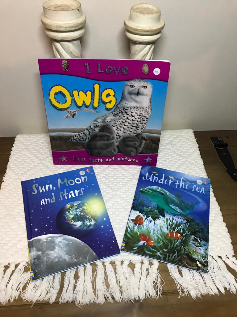 What lives at the bottom of the sea? How many owl species exist? Does the ice world fascinate you and your little one?
