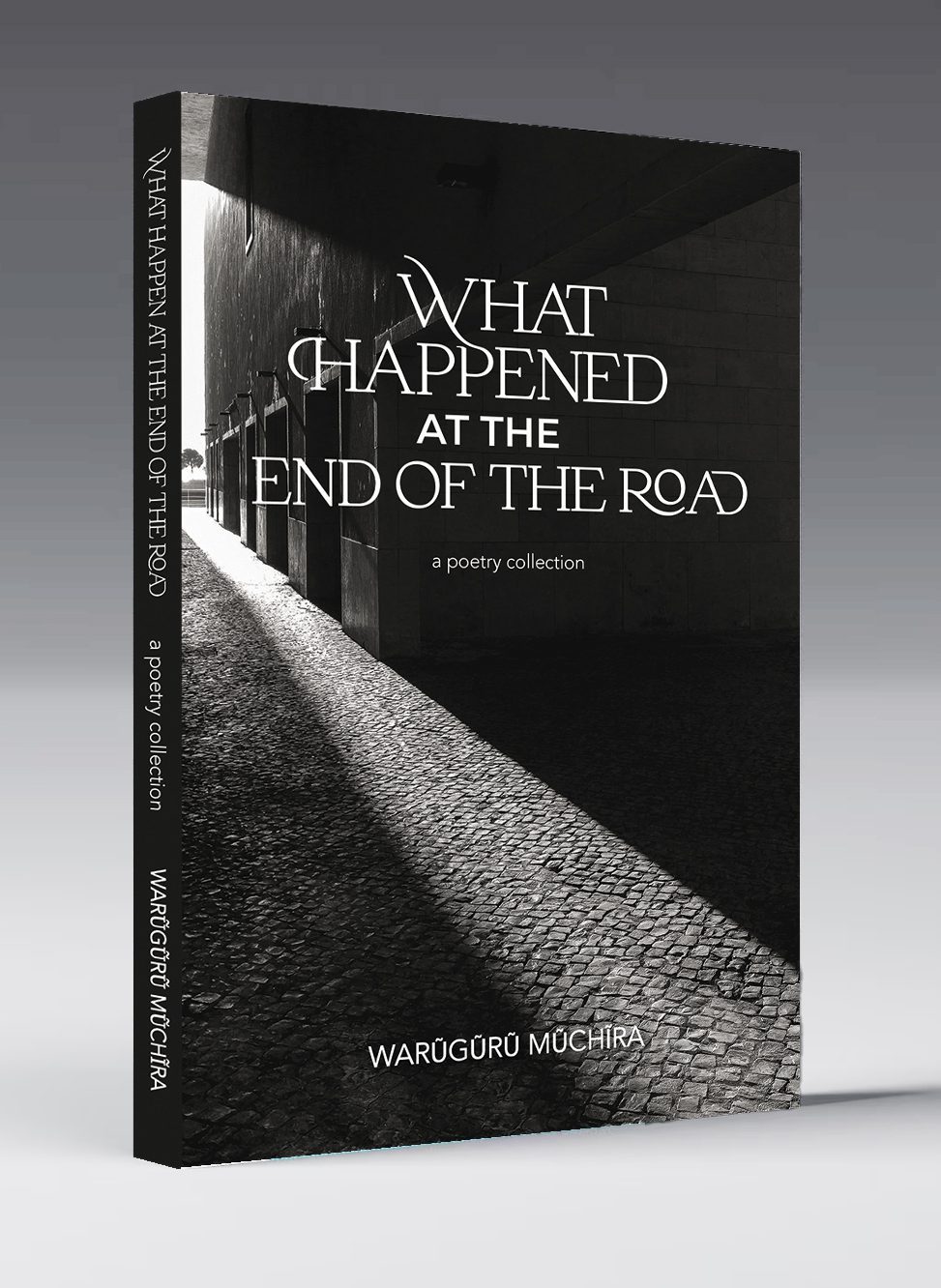 What Happened cover 3d