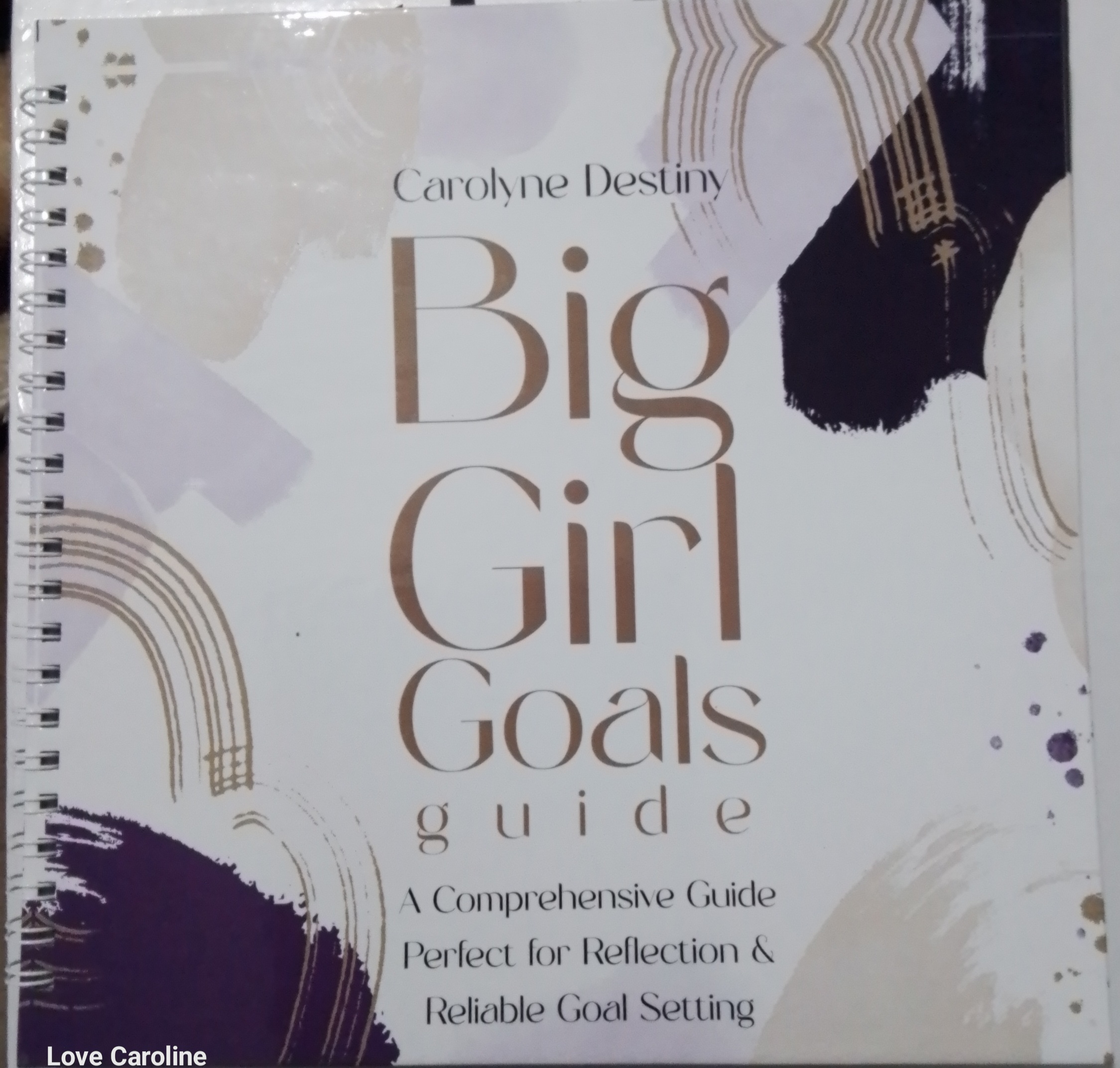 Big Girl Goals Guide
