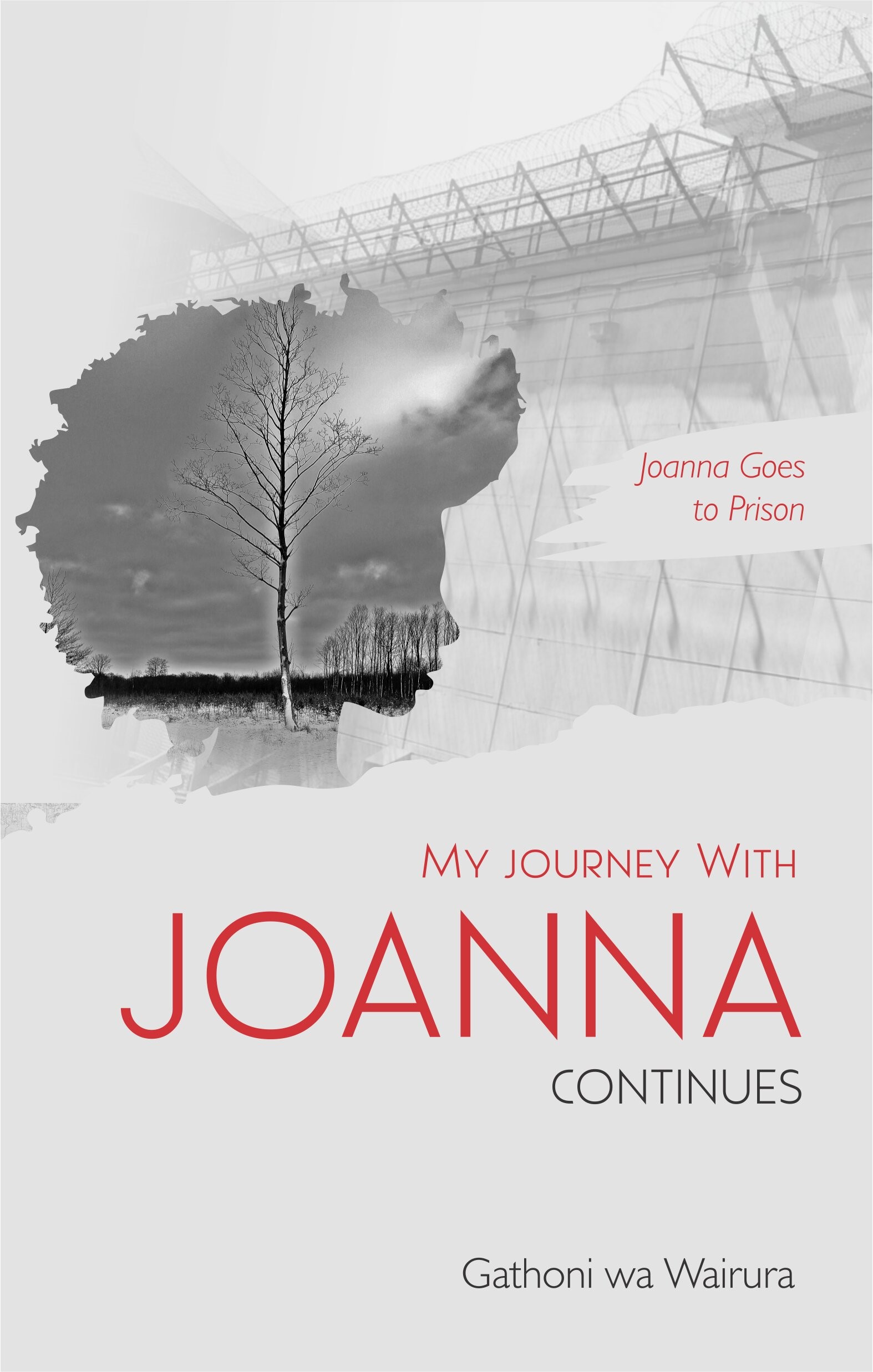 My Journey With Joanna Continues by Gathoni wa Wairura - Nuria Store