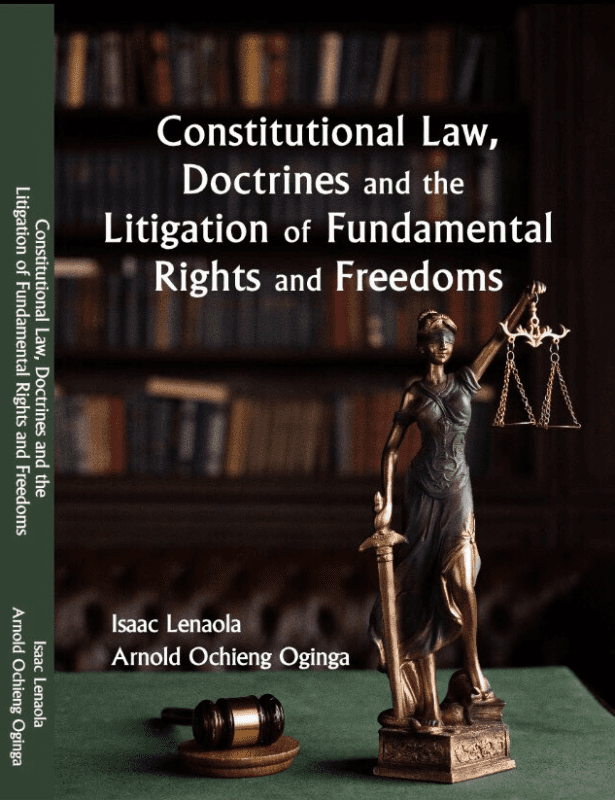 Constitutional Law, Doctrines, and the Litigation of Fundamental Rights ...