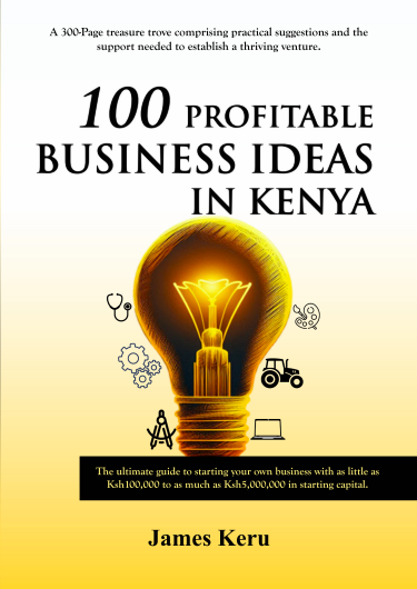 Biz Sasa Book