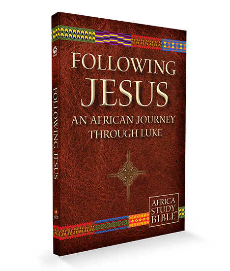 Following-Jesus-A-Journey-through-Luke-CVR-Oasis-copy